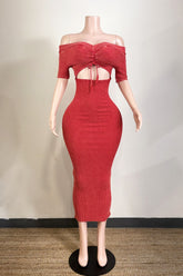 Exclusively Chic Dress
