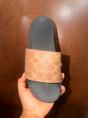 Coach Slides (Org.)