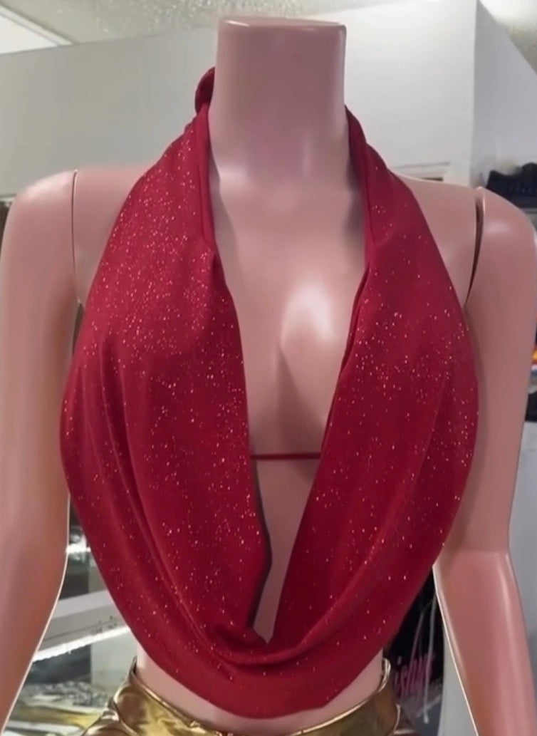 Shimmering Dream Top